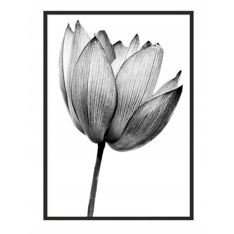 Póster con marco 53x73 cm Flor P1038