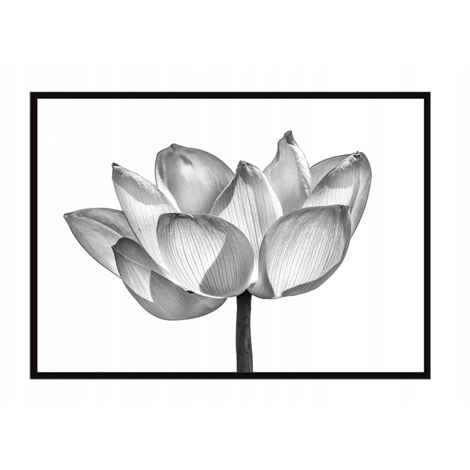 Póster con marco 53x73 cm Flor P1044