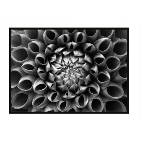 Póster con marco 53x73 cm Flor P1047