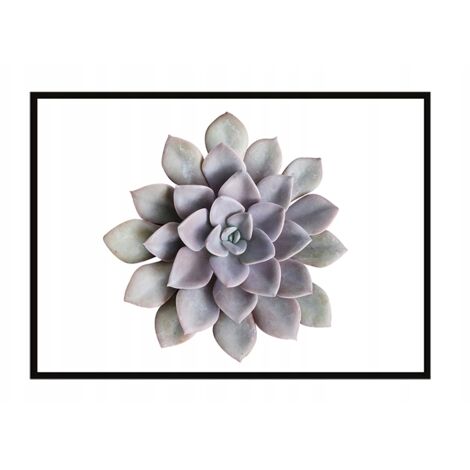 Póster con marco 53x73 cm Flor P1048