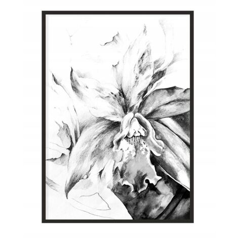 Póster con marco 53x73 cm Flor P1099