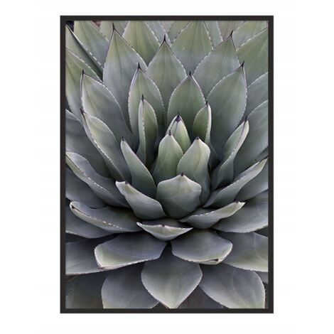 Póster con marco 53x73 cm Hojas P1040