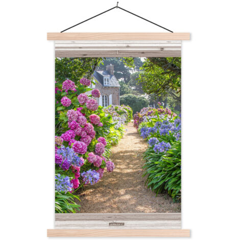 PÓSTER CON MARCO MAGNÉTICO Hortensia - Transparente - Flores - Verano - Morado - Camino 60x90