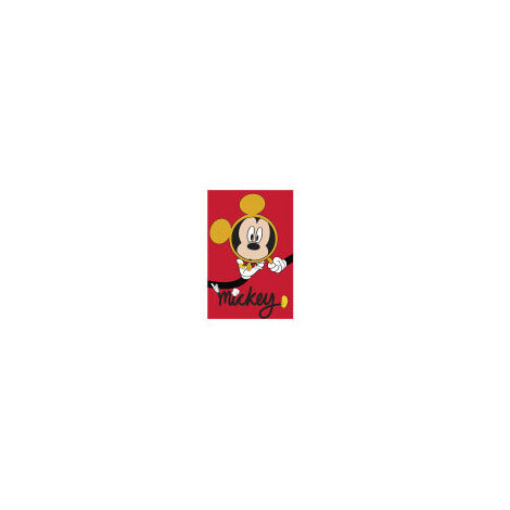 Poster d'Art - Mickey Mouse Sur Un Miroir - 40x50 cm