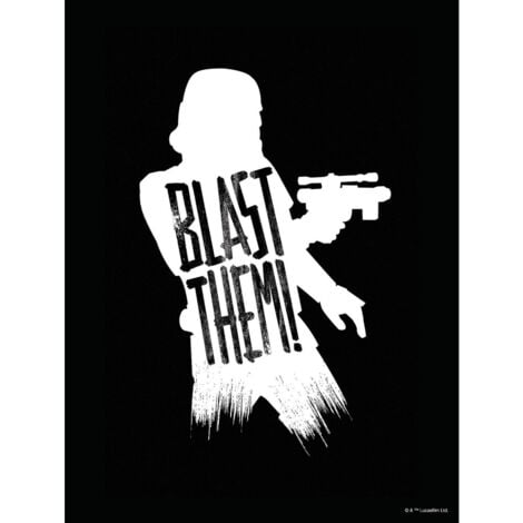 Poster d'Art Star Wars Silhouette Stormtrooper et Citations - 30 x 40 cm - Multicolor