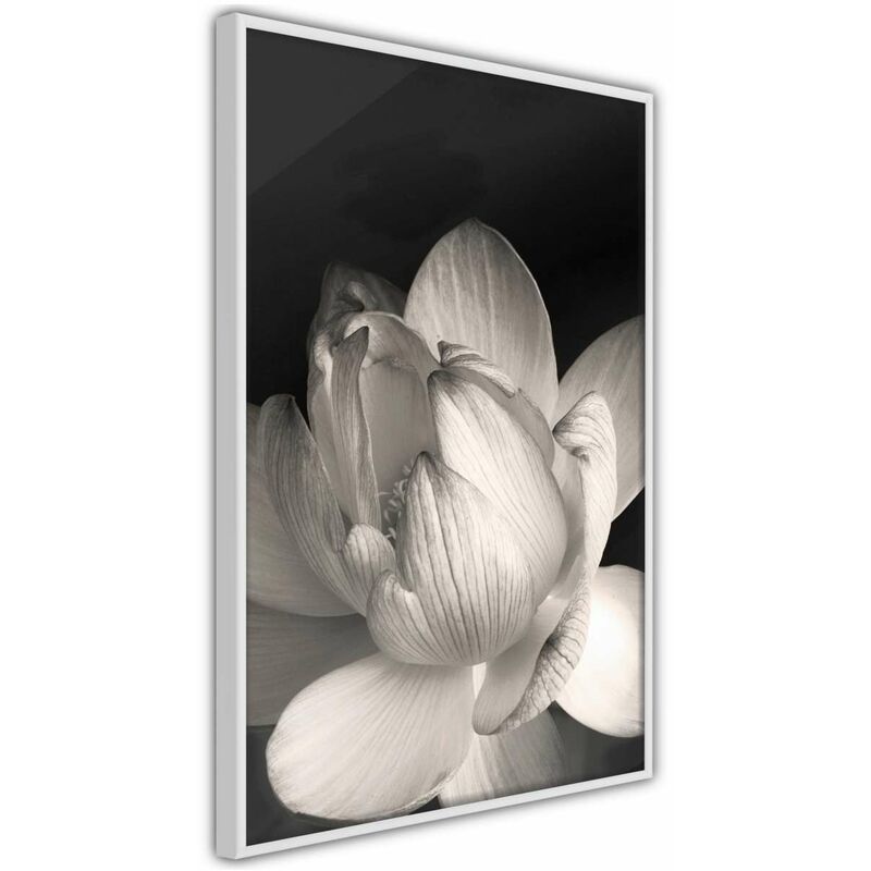 

Rtgs - Póster - Delicacy of a Flower Medidas 30X45