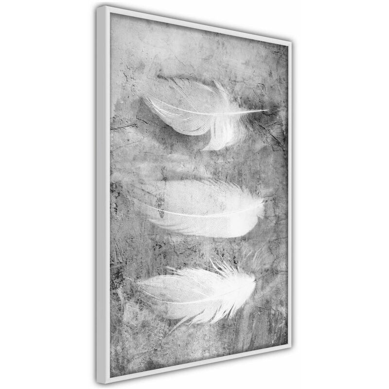 

Rtgs - Póster - Delicate Feathers Medidas 40X60