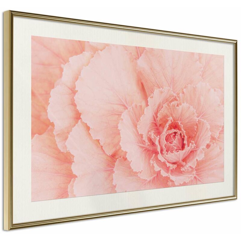 

Rtgs - Póster - Delicate Petals Medidas 30X20