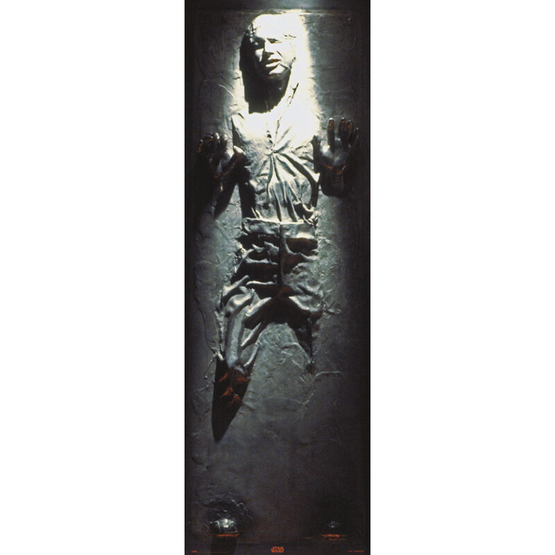 Poster della porta star wars han solo carbonite