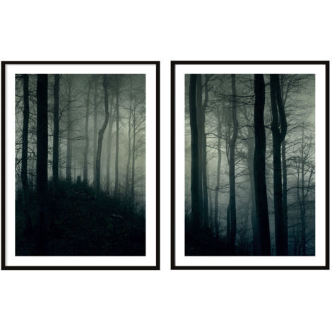 POSTER DIPINTI IN CORNICE 53x73cm Dittico Set di 2 dipinti Foresta Oscura P2089