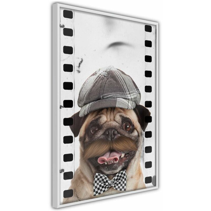 

Rtgs - Póster - Dressed Up Pug Medidas 30X45