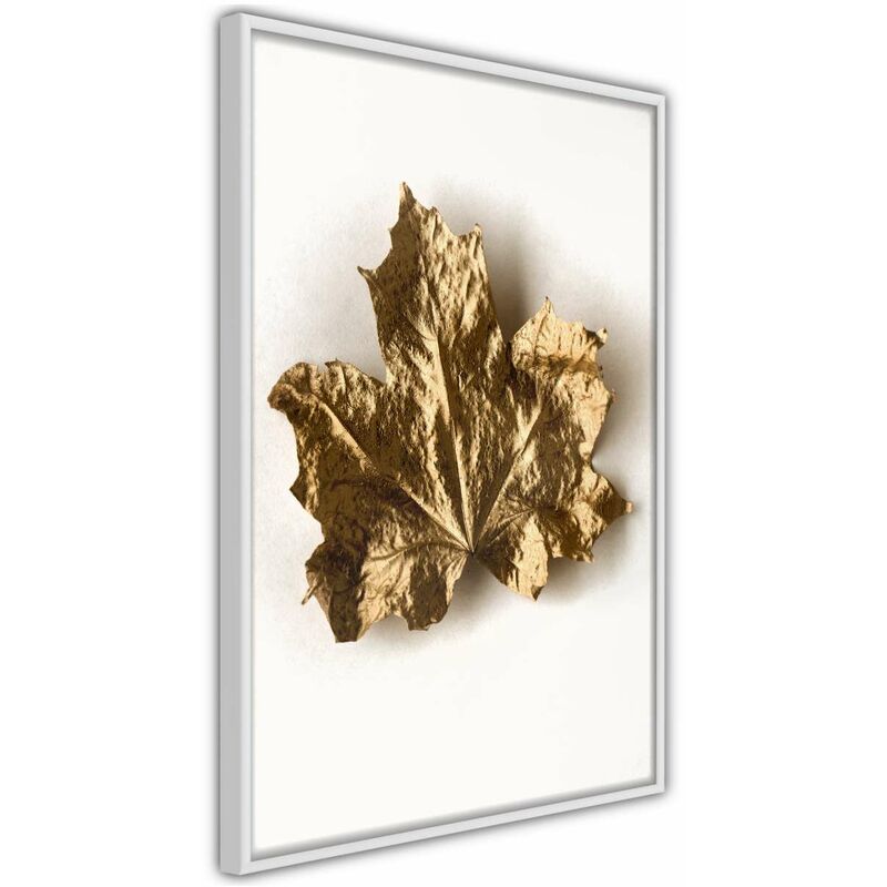 

Rtgs - Póster - Dried Maple Leaf Medidas 40X60