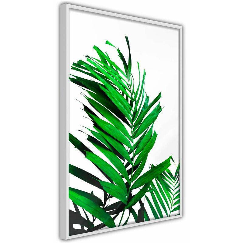 

Rtgs - Póster - Emerald Palm Medidas 20X30