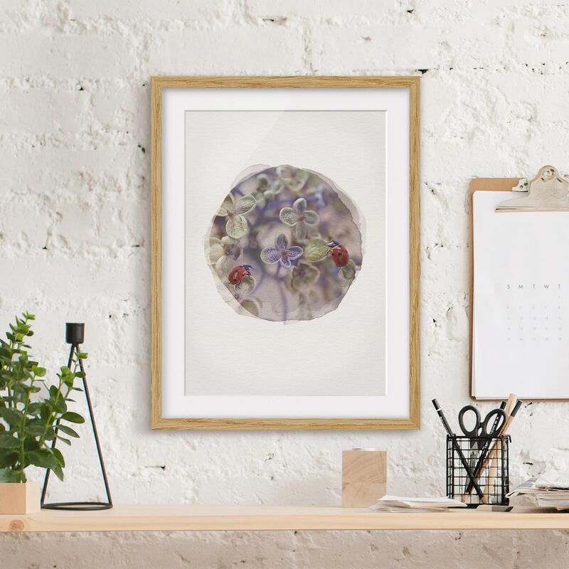 

Póster enmarcado - Acquerelli - Coccinelle In The Garden Dimensión LxA: 55cm x 40cm, Marco: Roble