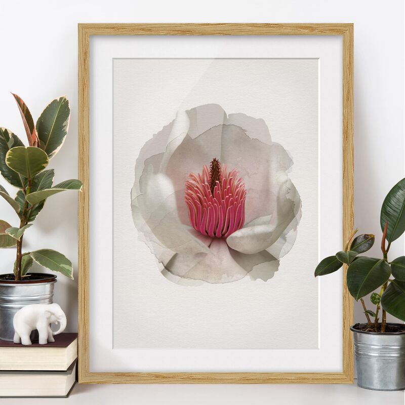 

Póster enmarcado - Acquerelli - Magnolia In Pink Dimensión LxA: 70cm x 50cm, Marco: Roble