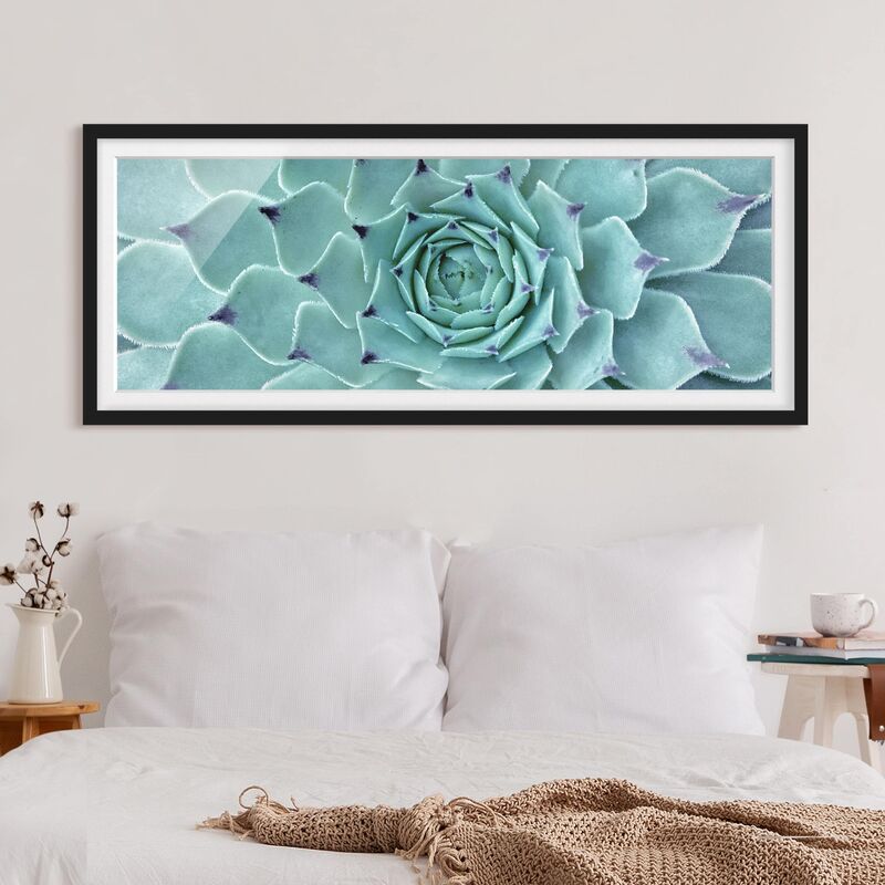 

Póster enmarcado - Agave Cactus Dimensión LxA: 50cm x 130cm, Marco: Negro