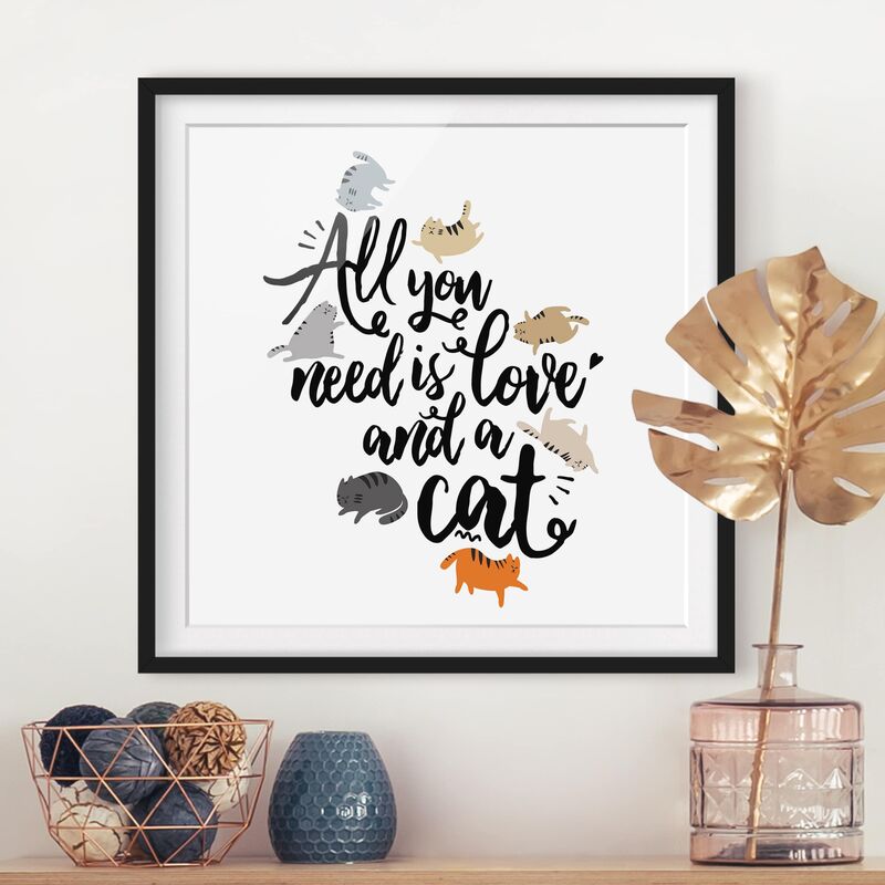 

Póster enmarcado - All You Need Is Love And A Cat Dimensión LxA: 70cm x 70cm, Marco: Negro