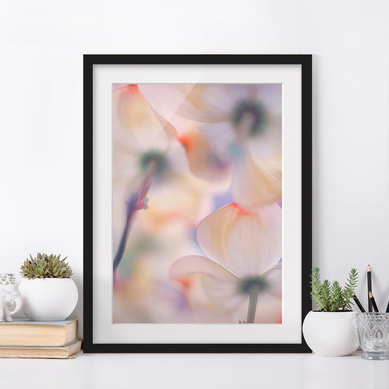 

Póster enmarcado - Among Blossoms Dimensión LxA: 55cm x 40cm, Marco: Negro