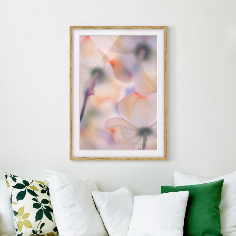 

Póster enmarcado - Among Blossoms Dimensión LxA: 100cm x 70cm, Marco: Roble