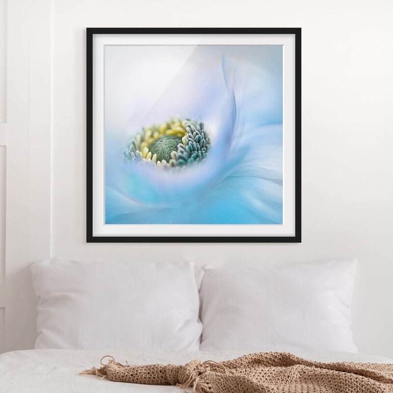 

Póster enmarcado - Anemone On The River Dimensión LxA: 50cm x 50cm, Marco: Negro