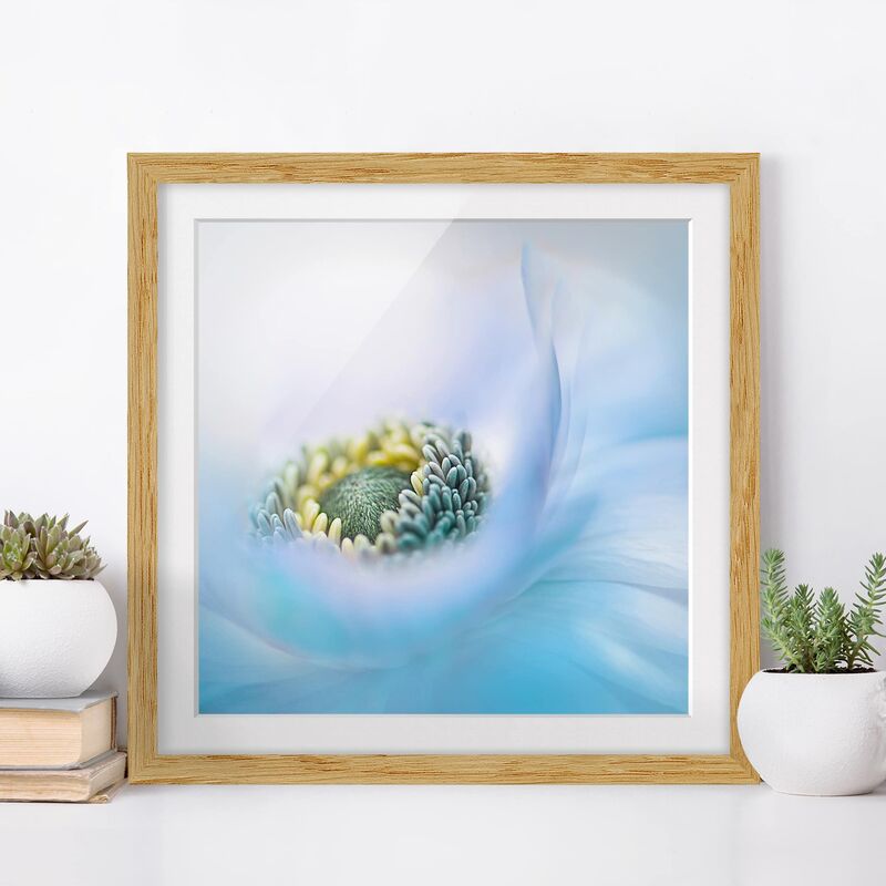 

Póster enmarcado - Anemone On The River Dimensión LxA: 20cm x 20cm, Marco: Roble