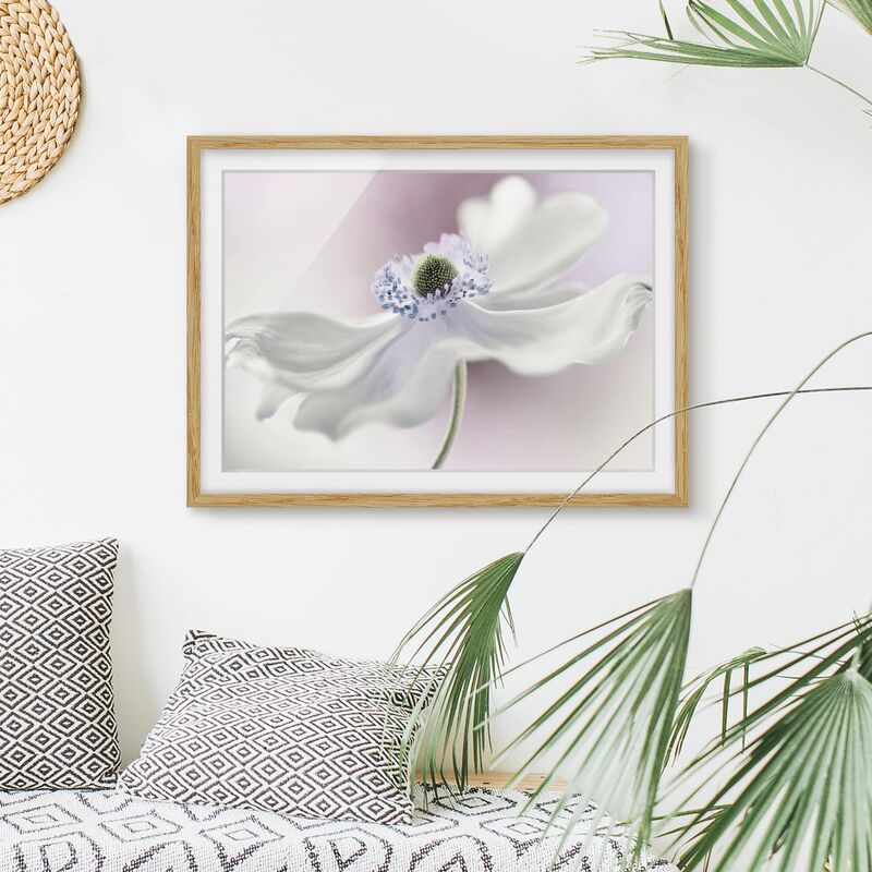 

Póster enmarcado - Anemones Breeze Dimensión LxA: 40cm x 55cm, Marco: Roble
