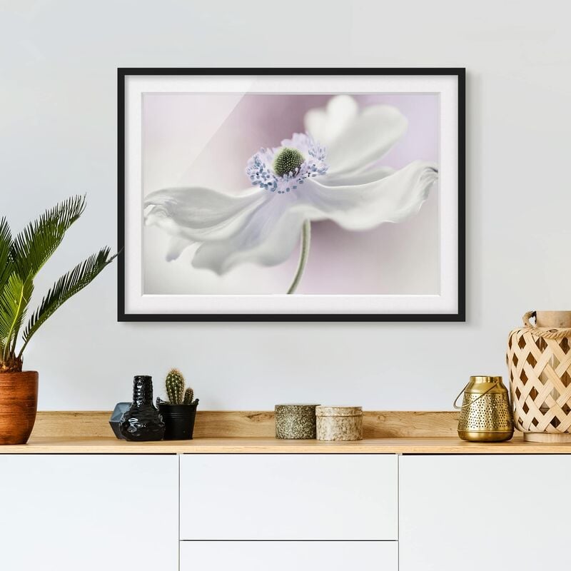 

Póster enmarcado - Anemones Breeze Dimensión LxA: 30cm x 40cm, Marco: Negro