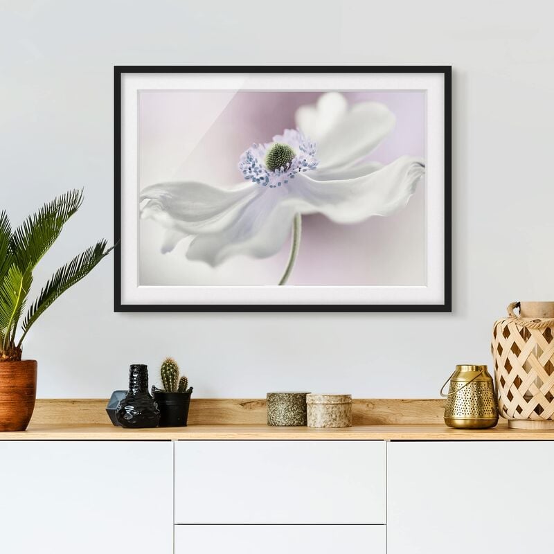 

Póster enmarcado - Anemones Breeze Dimensión LxA: 18cm x 24cm, Marco: Negro