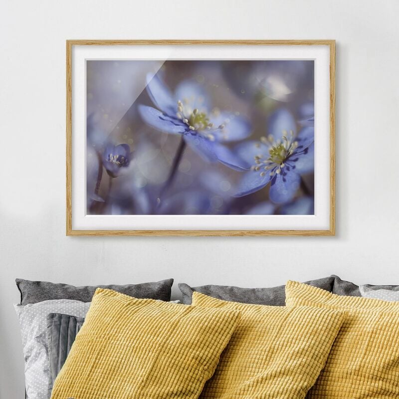 

Póster enmarcado - Anemones In Blue Dimensión LxA: 18cm x 24cm, Marco: Roble