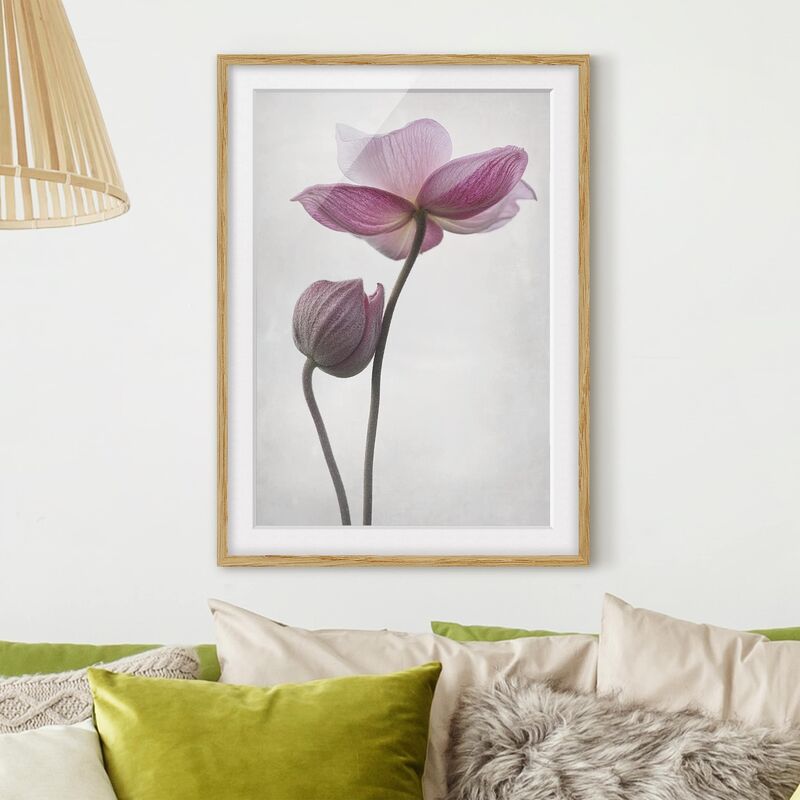 

Póster enmarcado - Anemones In Pink Dimensión LxA: 55cm x 40cm, Marco: Roble