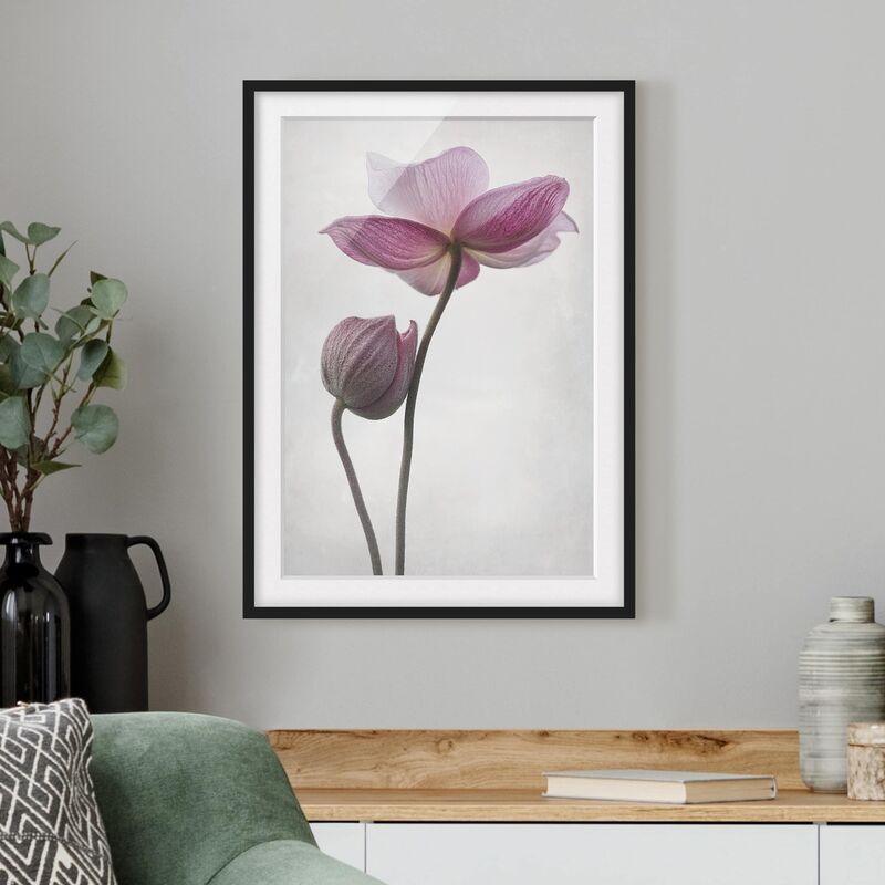 

Póster enmarcado - Anemones In Pink Dimensión LxA: 70cm x 50cm, Marco: Negro