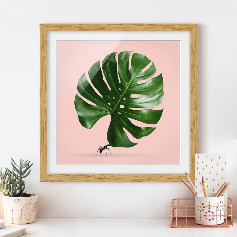 

Póster enmarcado - Ant con Leaf Monstera Dimensión LxA: 20cm x 20cm, Marco: Roble