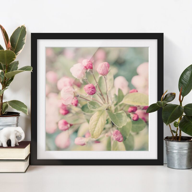 

Póster enmarcado - Apple Blossom rosa bokeh Dimensión LxA: 20cm x 20cm, Marco: Negro