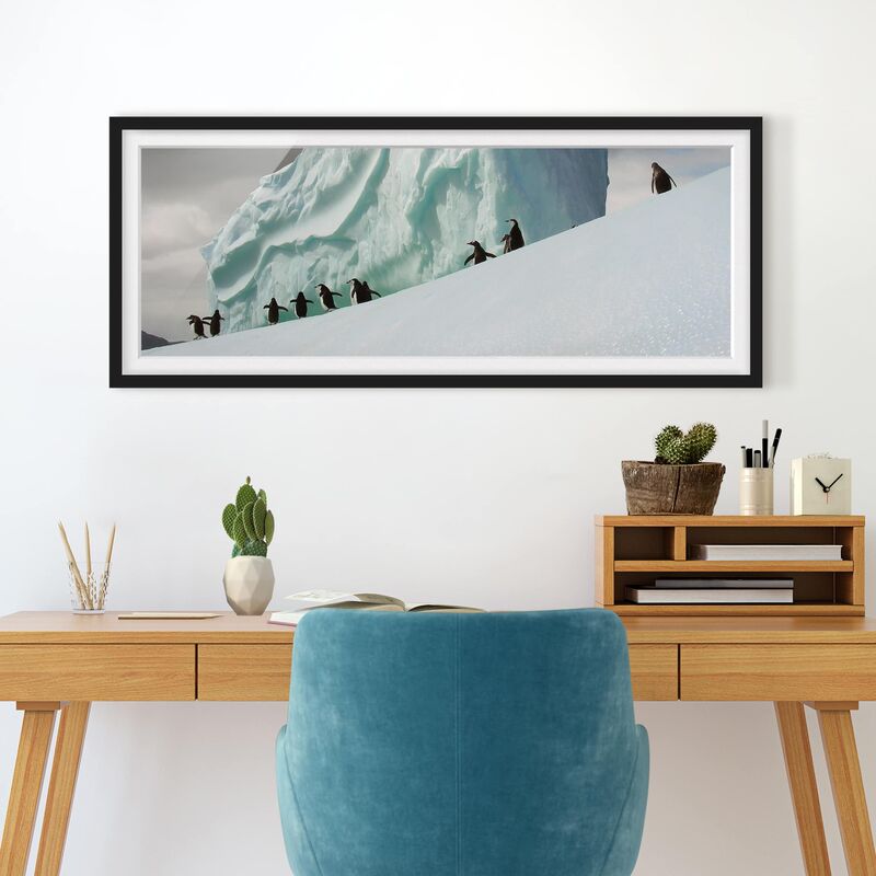 

Póster enmarcado - Arctic Penguins Dimensión LxA: 30cm x 75cm, Marco: Negro