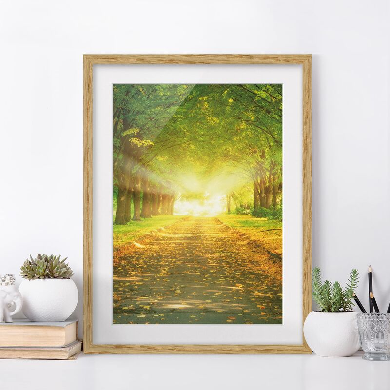 

Póster enmarcado - Autumn Avenue Dimensión LxA: 70cm x 50cm, Marco: Roble