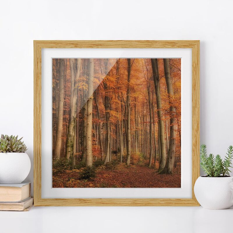 

Póster enmarcado - Autumn Walk Dimensión LxA: 30cm x 30cm, Marco: Roble