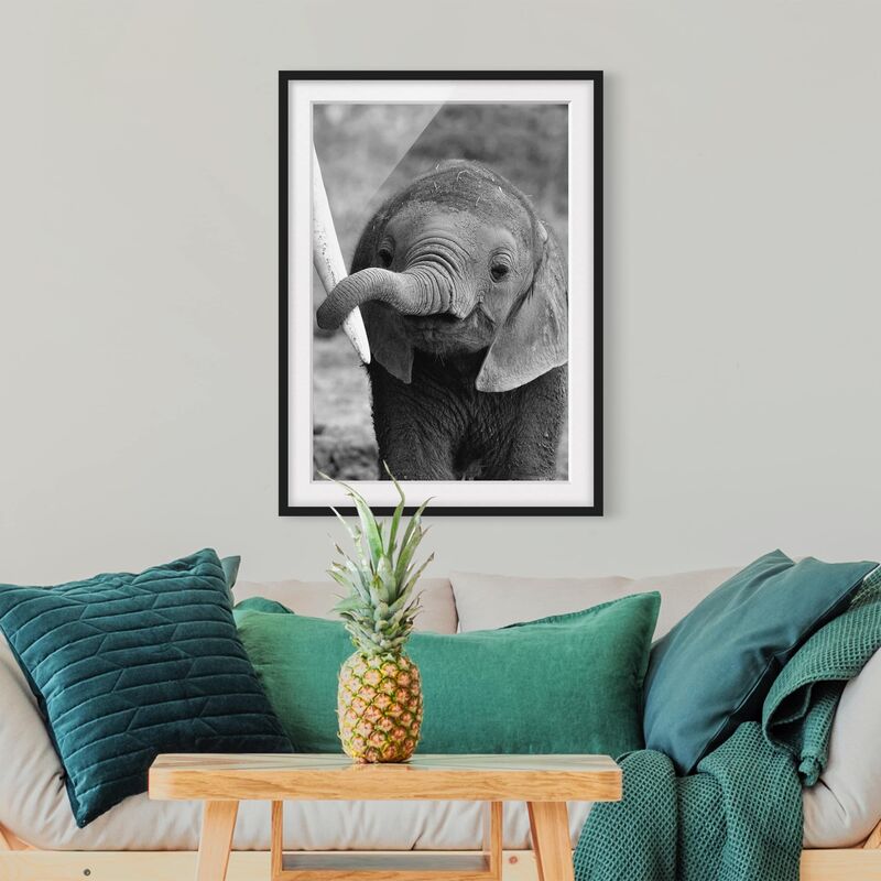 

Póster enmarcado - Baby Elephant Dimensión LxA: 24cm x 18cm, Marco: Negro