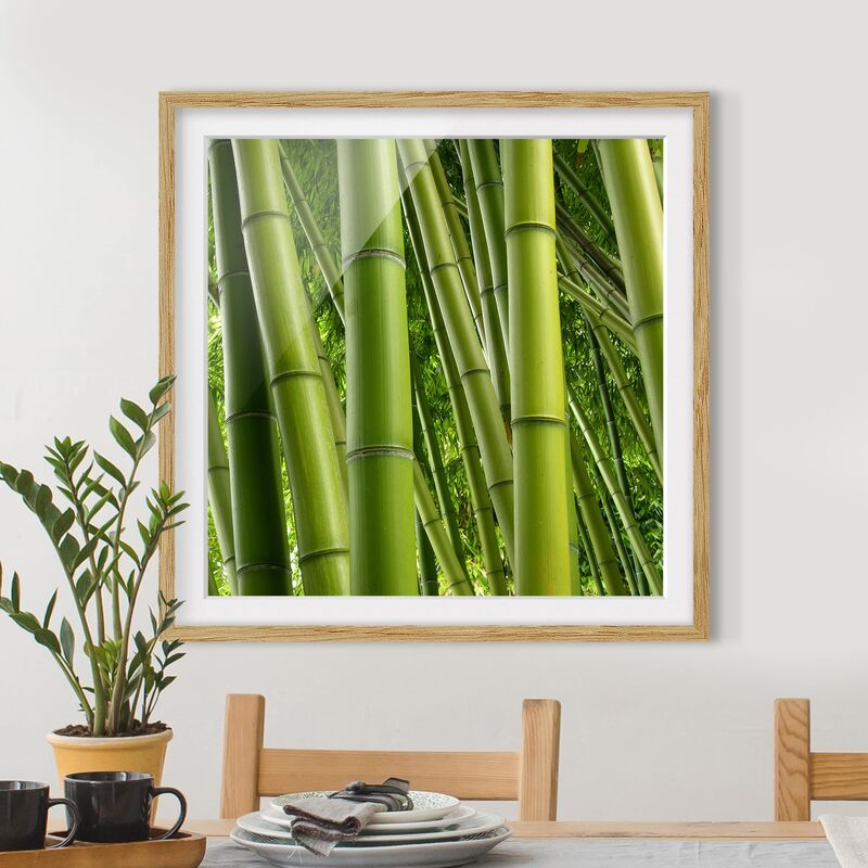 

Póster enmarcado - Bamboo Trees Dimensión LxA: 20cm x 20cm, Marco: Roble