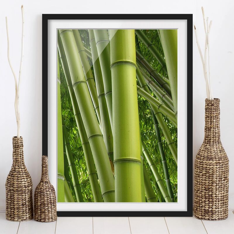 

Póster enmarcado - Bamboo Trees No.2 Dimensión LxA: 100cm x 70cm, Marco: Negro