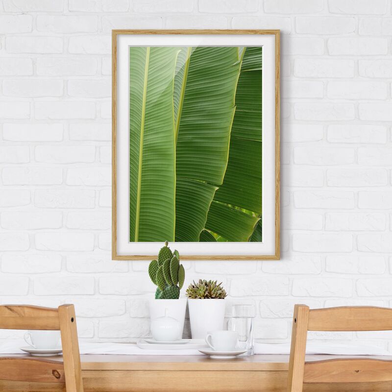 

Póster enmarcado - Banana Leaves Dimensión LxA: 24cm x 18cm, Marco: Roble