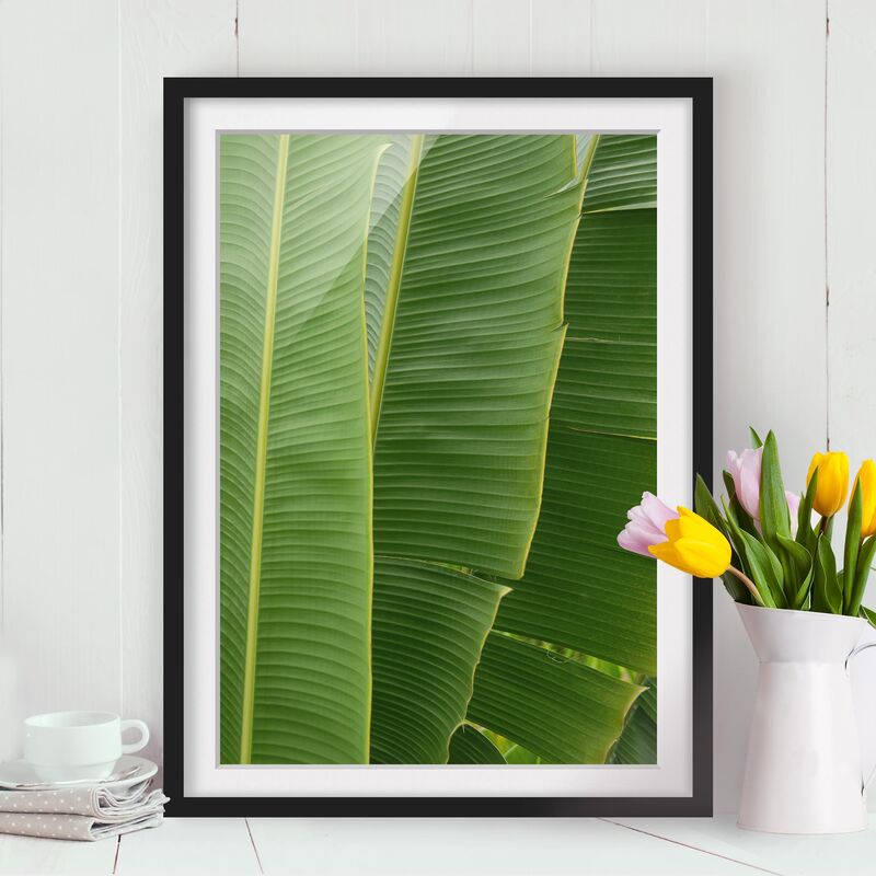 

Póster enmarcado - Banana Leaves Dimensión LxA: 24cm x 18cm, Marco: Negro