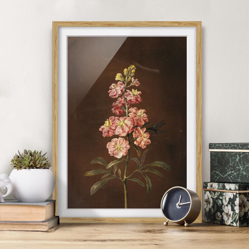 

Póster enmarcado - Barbara Regina Dietzsch - Un Pink Garden Levkkoje Dimensión LxA: 100cm x 70cm, Marco: Roble