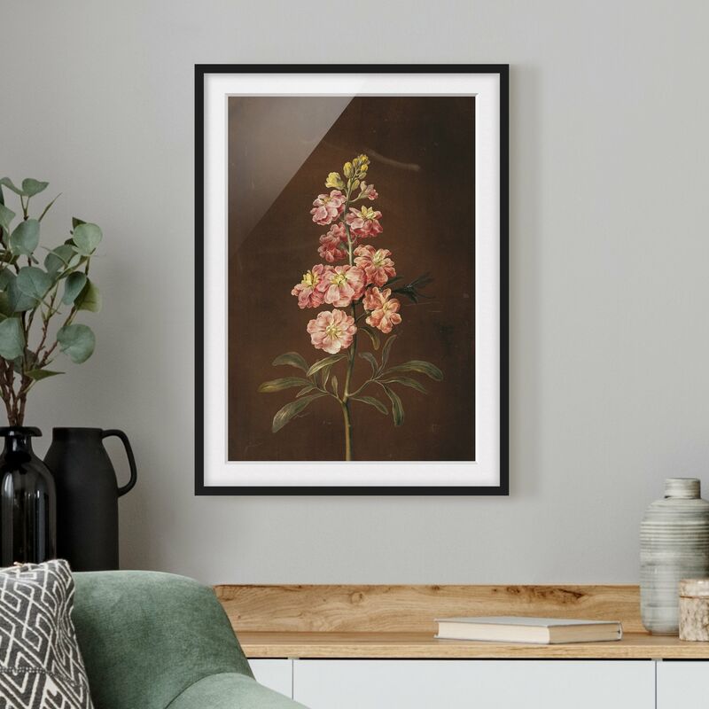 

Póster enmarcado - Barbara Regina Dietzsch - Un Pink Garden Levkkoje Dimensión LxA: 100cm x 70cm, Marco: Negro
