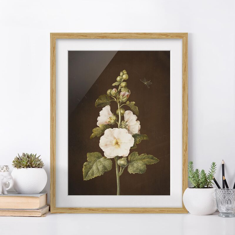 

Póster enmarcado - Barbara Regina Dietzsch - Hollyhock Dimensión LxA: 55cm x 40cm, Marco: Roble