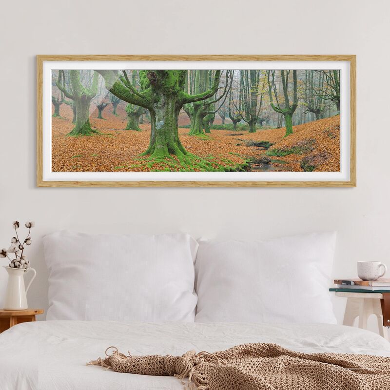 

Póster enmarcado - Foresta Di Faggio Nel Parco Naturale Gorbea In Spagna Dimensión LxA: 30cm x 75cm, Marco: Roble