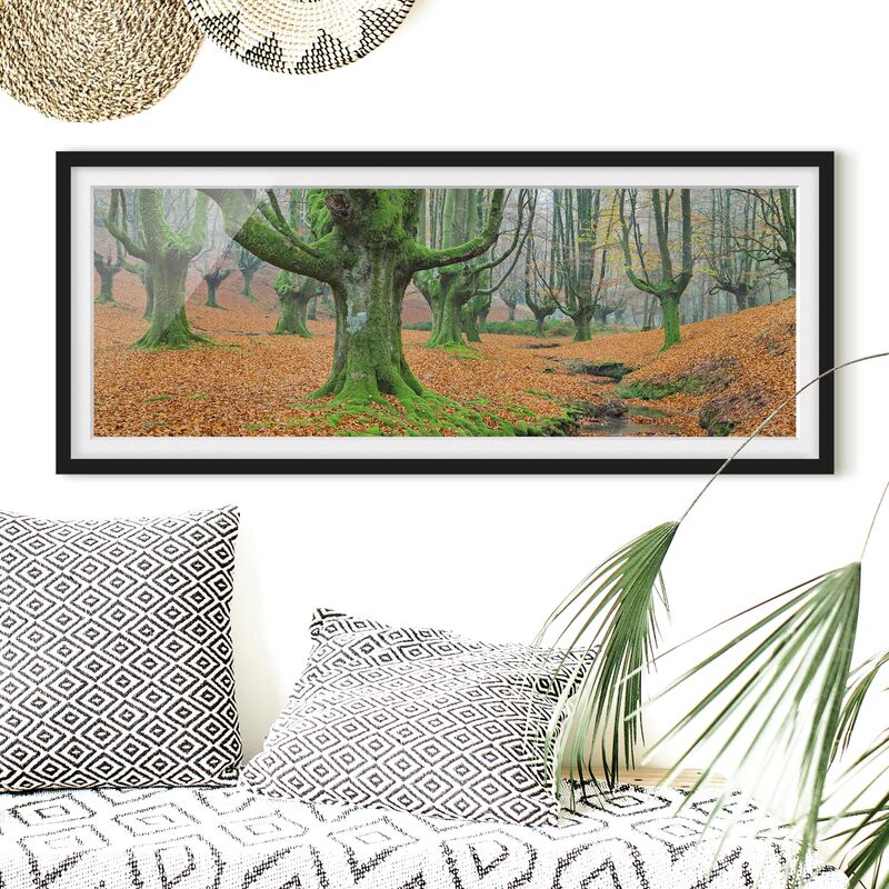 

Póster enmarcado - Foresta Di Faggio Nel Parco Naturale Gorbea In Spagna Dimensión LxA: 20cm x 50cm, Marco: Negro