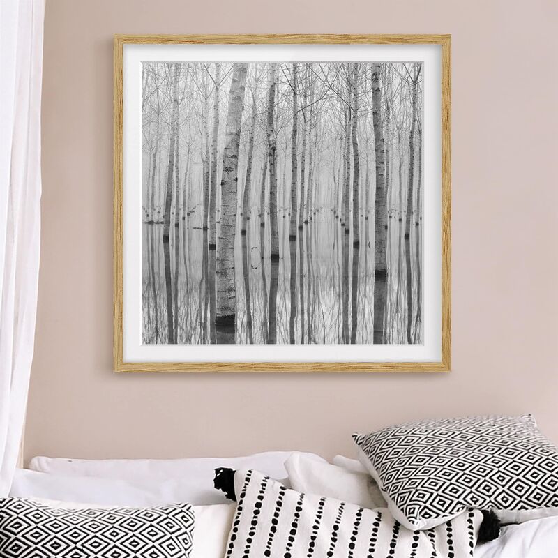 

Póster enmarcado - Birches In November Dimensión LxA: 20cm x 20cm, Marco: Roble