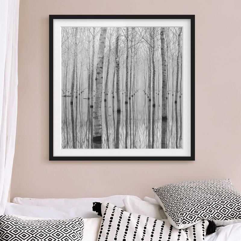 

Póster enmarcado - Birches In November Dimensión LxA: 50cm x 50cm, Marco: Negro