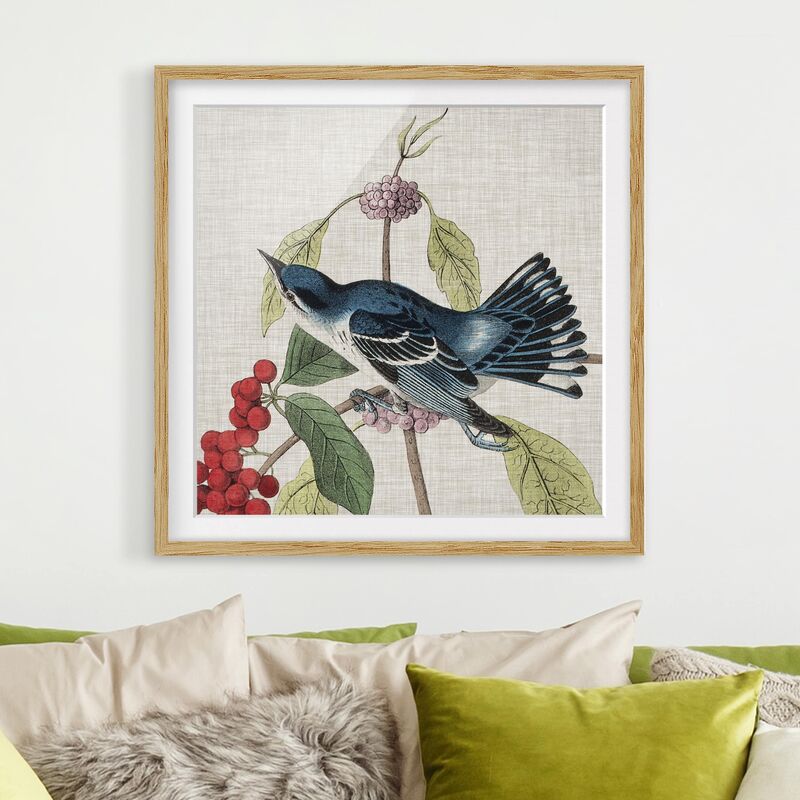 

Póster enmarcado - Bird On Linen Pink II Dimensión LxA: 70cm x 70cm, Marco: Roble