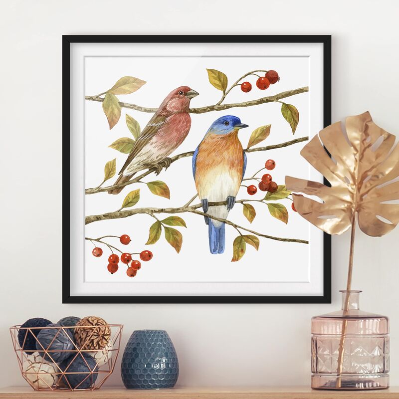 

Póster enmarcado - Birds And Berries - Bluebird Dimensión LxA: 20cm x 20cm, Marco: Negro
